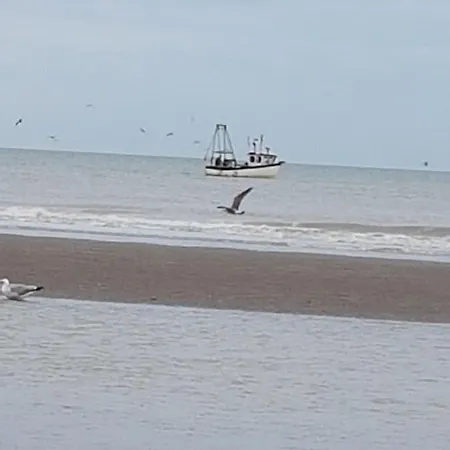 De Gouden Haan Hotel De Haan