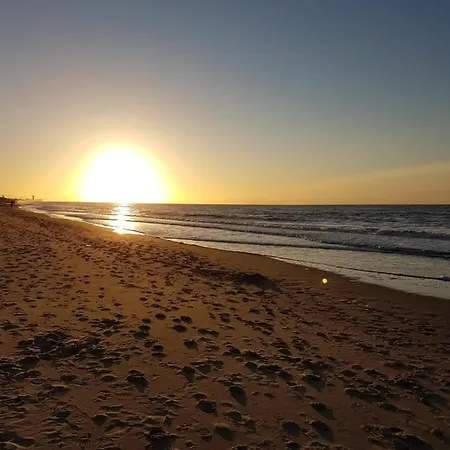 De Gouden Haan מלון 3*