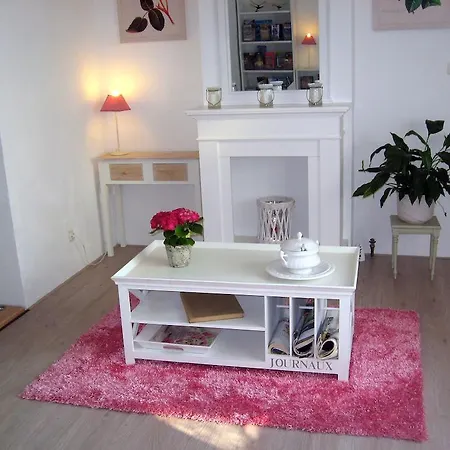 De Gouden Haan מלון דה האן