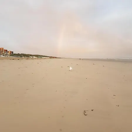 De Gouden Haan De Haan