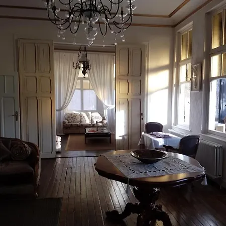 De Gouden Haan 3* דה האן