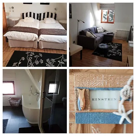 De Gouden Haan Hotel De Haan