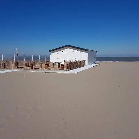 De Gouden Haan 3* דה האן