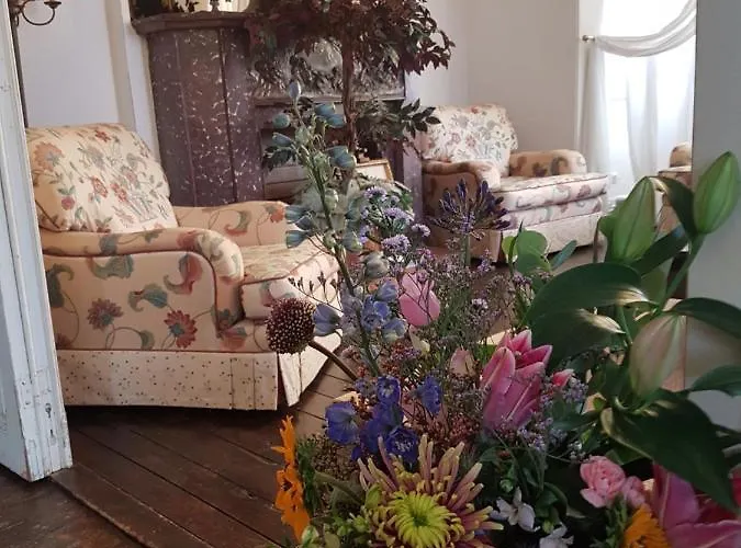 De Gouden Haan De Haan