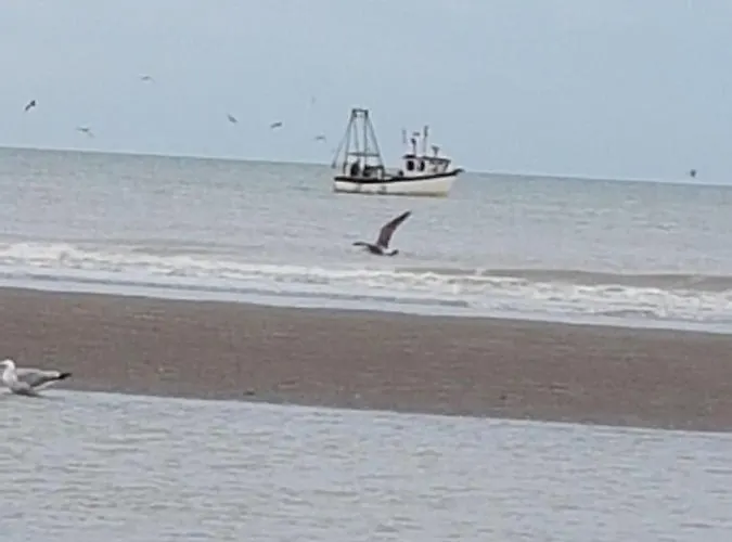 De Gouden Haan Hotel De Haan