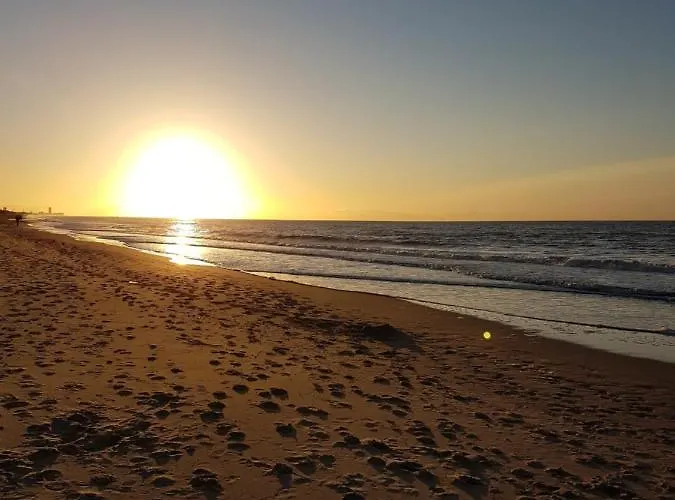 De Gouden Haan Hotel 3*