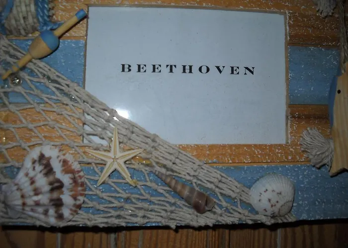 De Gouden Haan Hotel