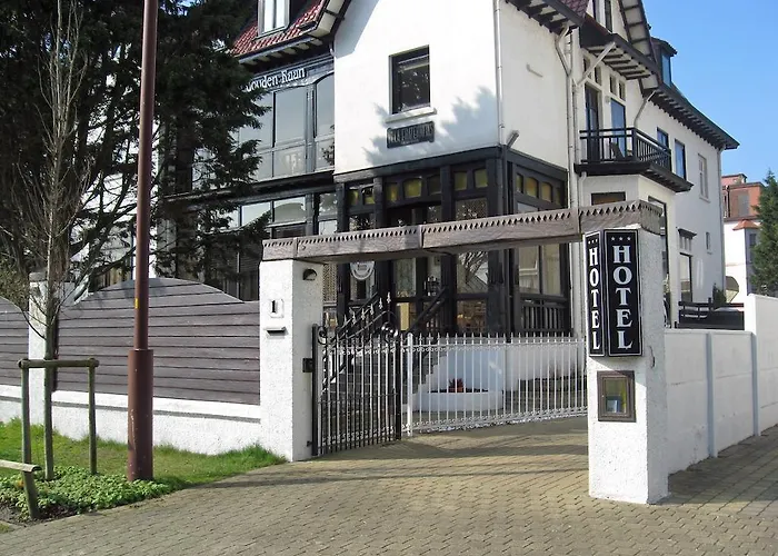 De Gouden Haan 3* De Haan