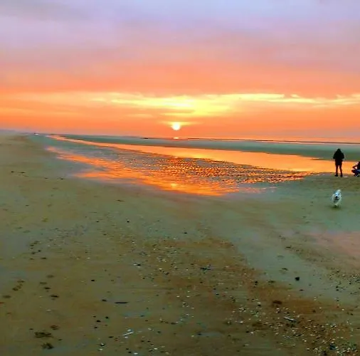 De Gouden Haan De Haan