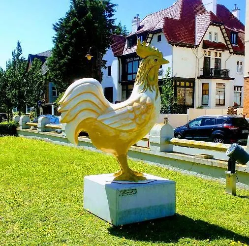 De Gouden Haan De Haan