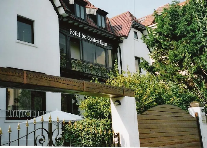 De Gouden Haan 3*